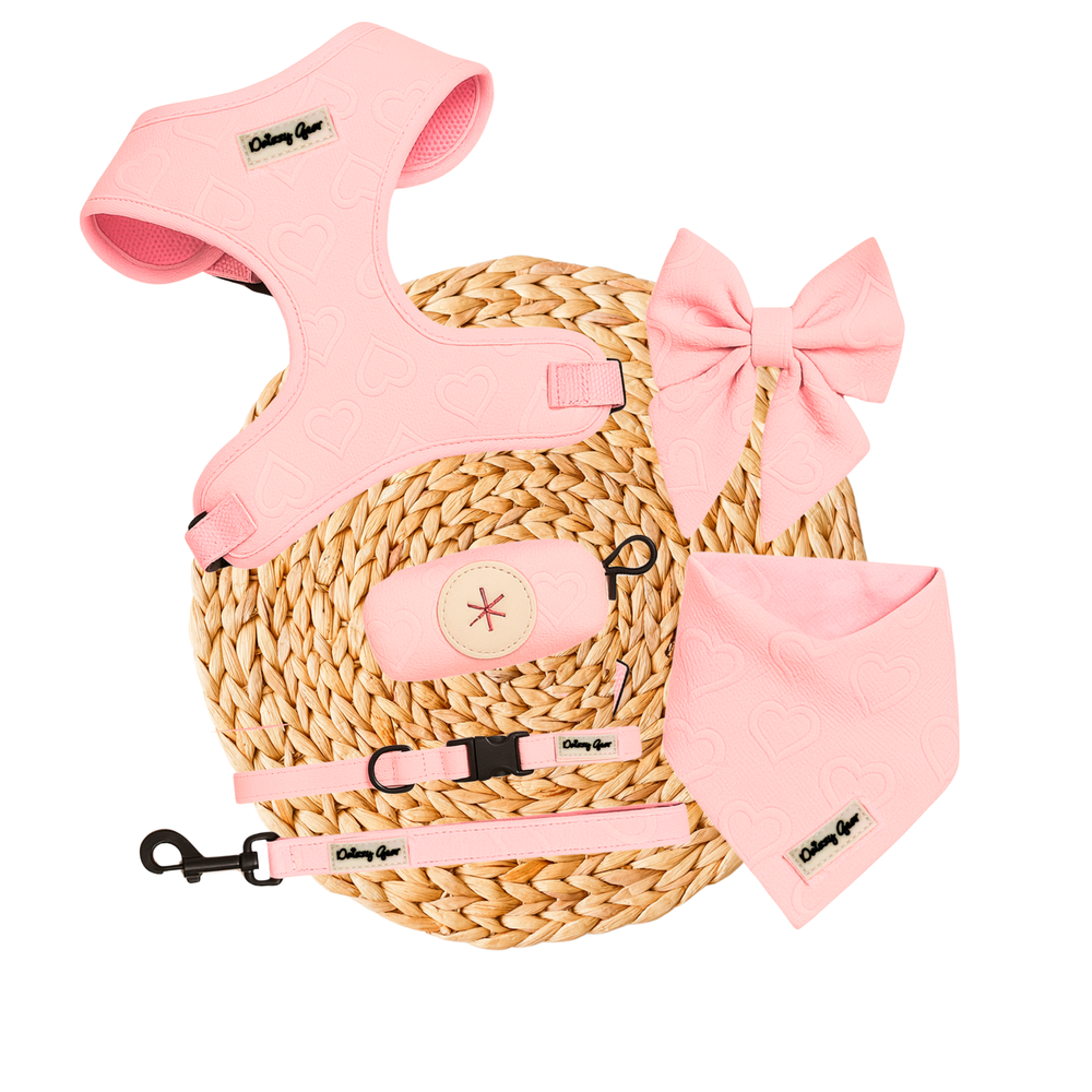 Petite Amour Pink Dog Harness Matching Walking Set