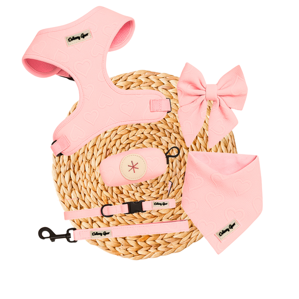 Petite Amour Pink Dog Harness Matching Walking Set