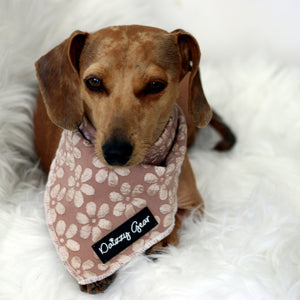 Cocoa Bloom Dog Harness Matching Walking Set