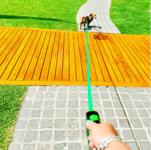 Retractable Green Dog Walking Leash