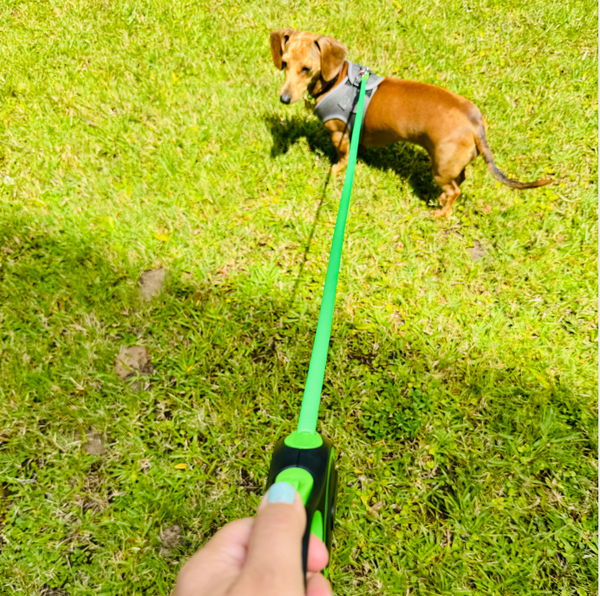 Retractable Green Dog Walking Leash