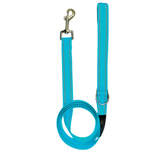 Reflective Blue Dog Leash Set
