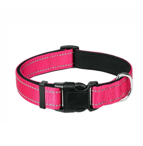 Reflective Pink Walking Dog Leash Set