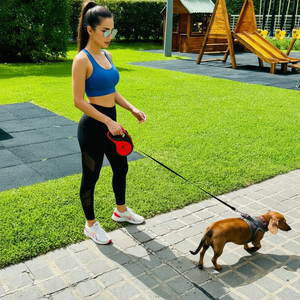 Retractable Red Dog Leash with Poop Bag DIspenser