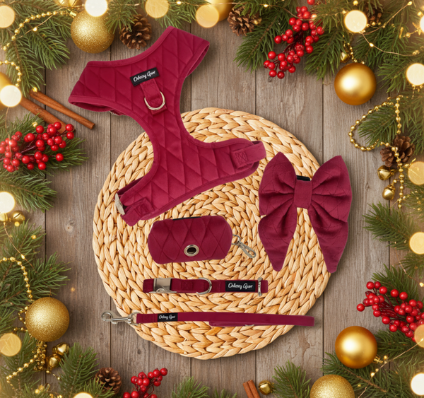 Pup Wishes Dog Matching Set - Limited Edition- Coming Soon