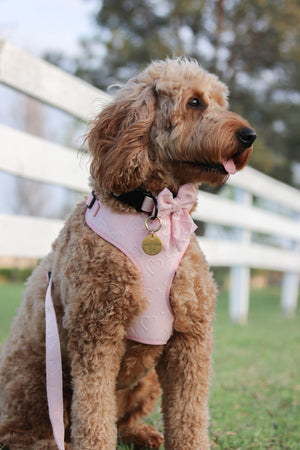 Petite Amour Pink Dog Harness Matching Walking Set