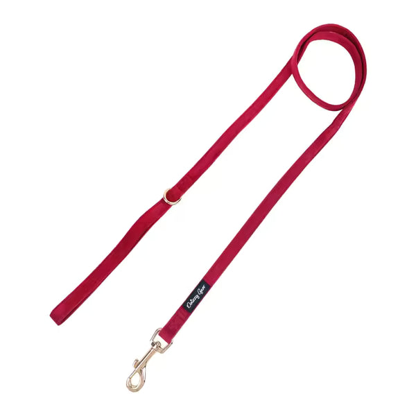 Pup Wishes Dog Matching Set - Limited Edition- Coming Soon