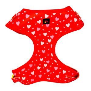 Red Hearts Dog Harness Matching Walking Set
