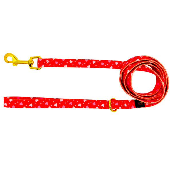 Red Hearts Dog Harness Matching Walking Set