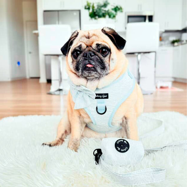 Divine Petals Dog Harness Matching Walking Set