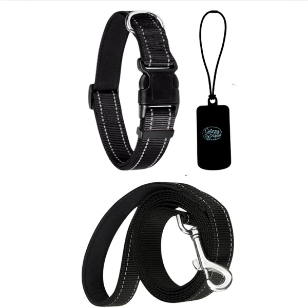 Reflective Black Dog Walking Leash Set