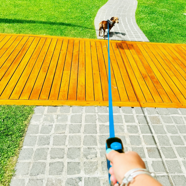 Retractable Blue Dog Walking Leash
