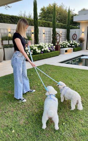 Blue Hands-Free Rope Dog Leash