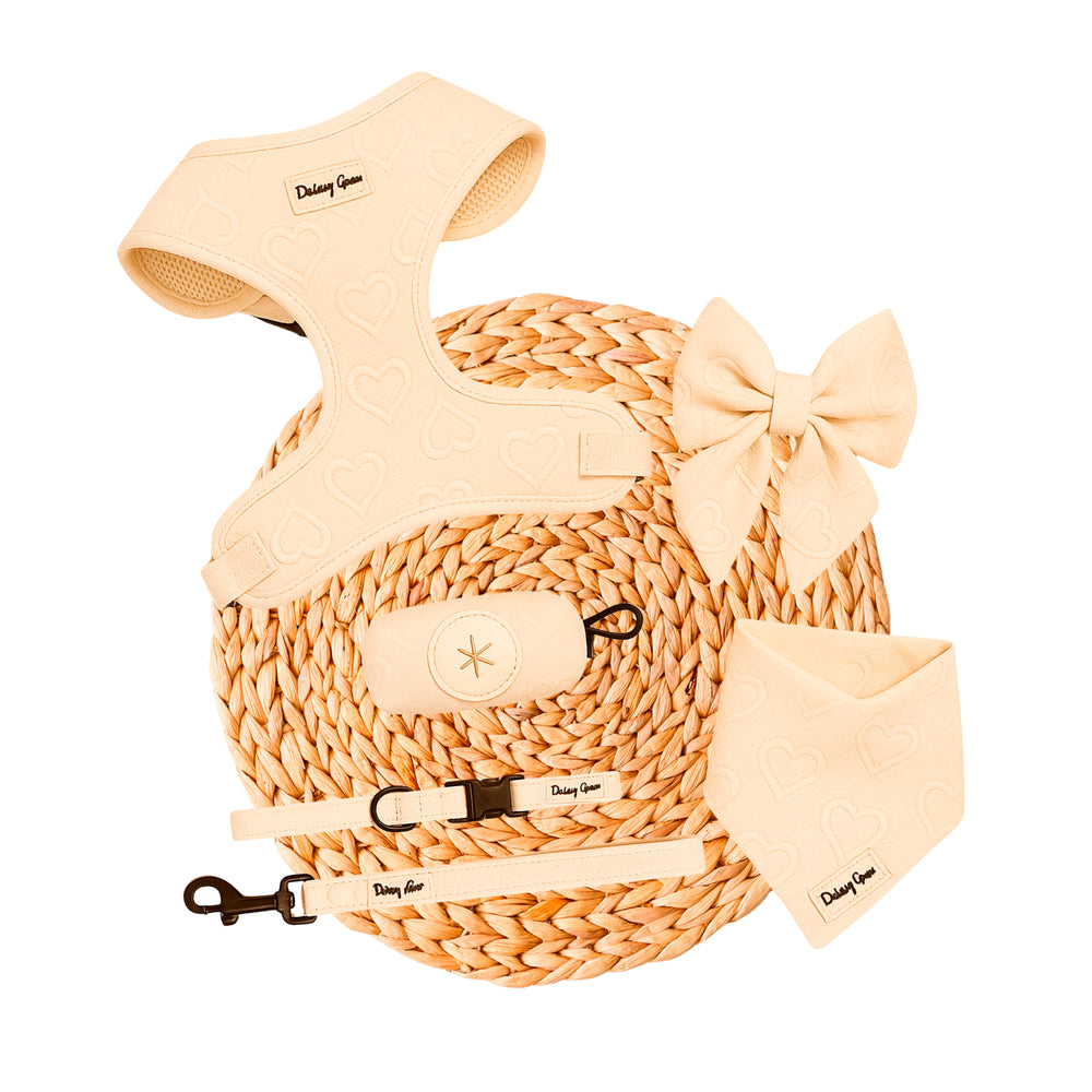 Petite Amour Cream Dog Harness Matching Walking Set