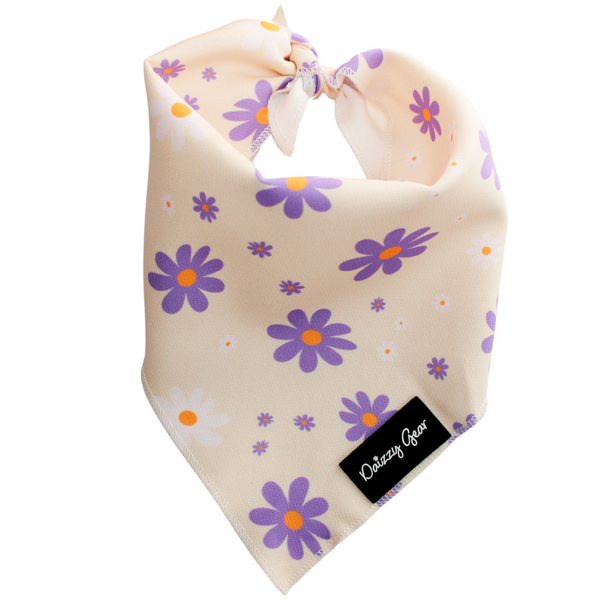 Daisy Dreams Dog Harness Matching Walking Set