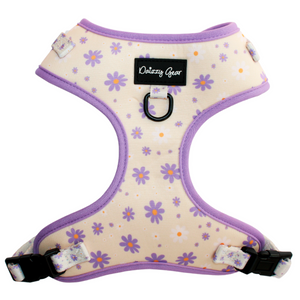 Daisy Dreams Dog Harness Matching Walking Set