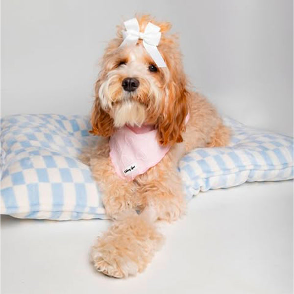 Petite Amour Pink Dog Harness Matching Walking Set