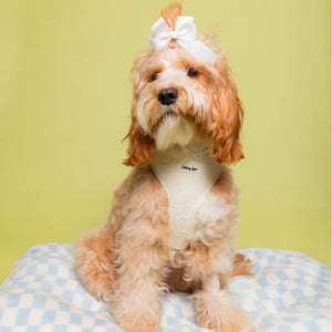 Petite Amour Cream Dog Harness Matching Walking Set