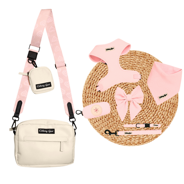 Pink Petite Amour Matching Set + Matching Bag