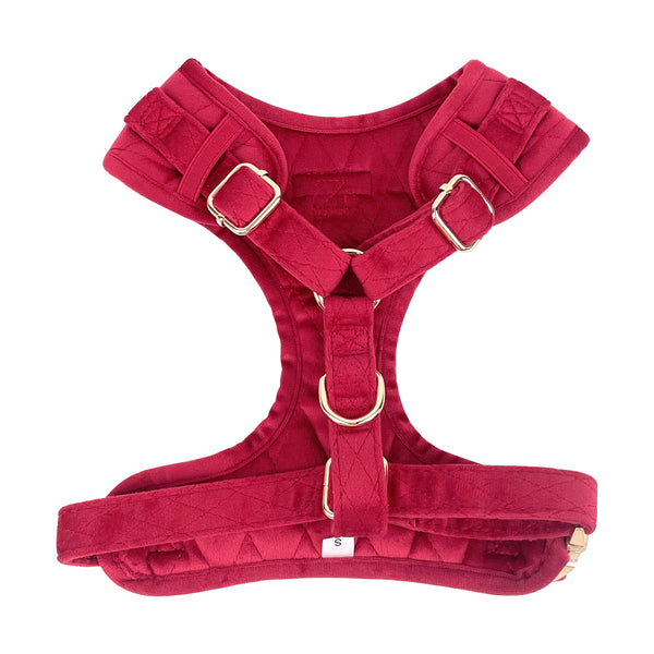 Pup Wishes Dog Matching Set - Limited Edition- Coming Soon