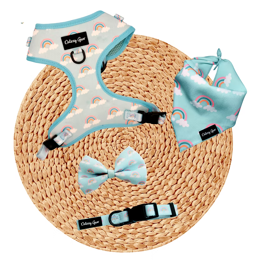 Rainbow Bliss Dog Harness Matching Walking Set