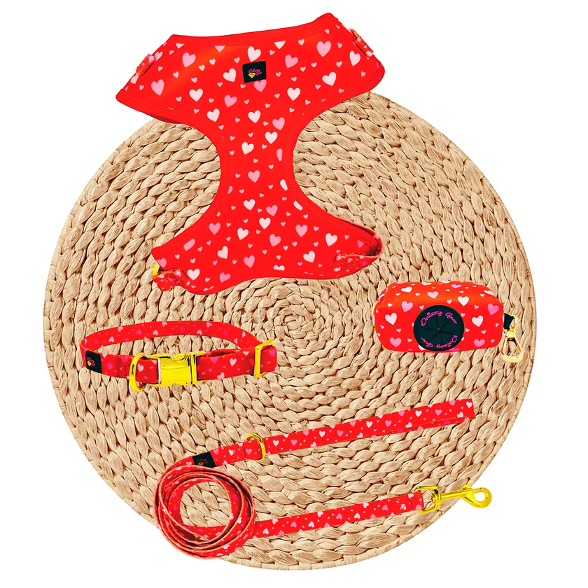 Red Hearts Dog Harness Matching Walking Set