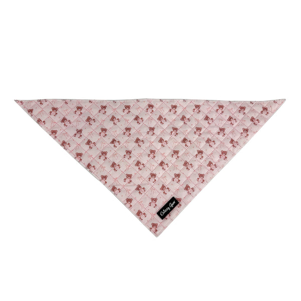 Teddy Coquette Dog Harness Matching Walking Set