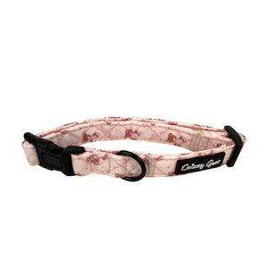 Teddy Coquette Dog Harness Matching Walking Set