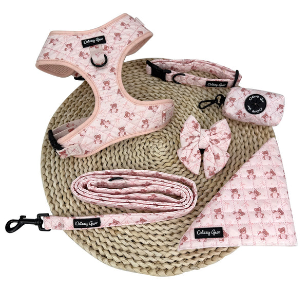 Teddy Coquette Matching Set + Matching Bag