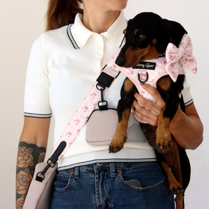 Teddy Coquette Matching Set + Matching Bag