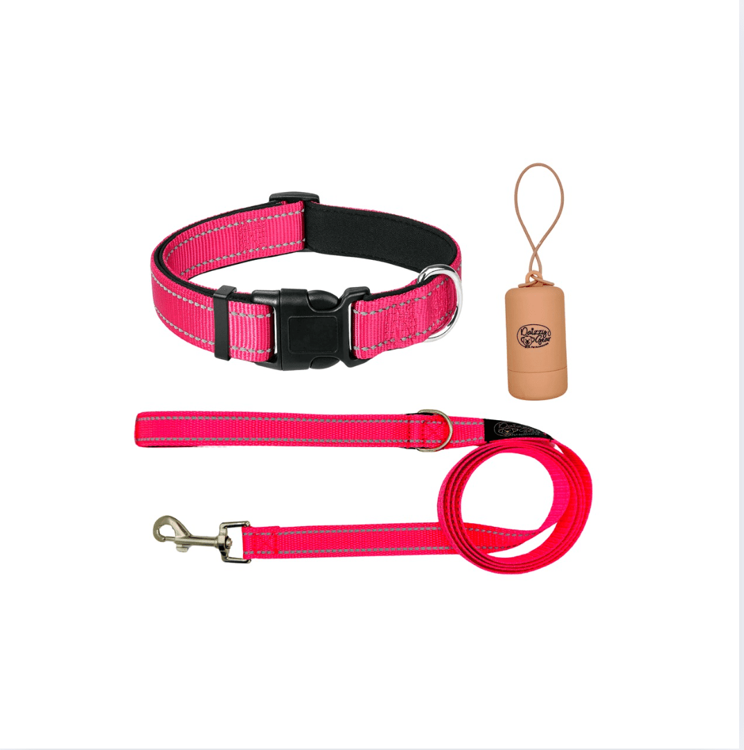 Reflective Dog Walking Sets - Daizzy Gear - Stylish Accessories for Dogs