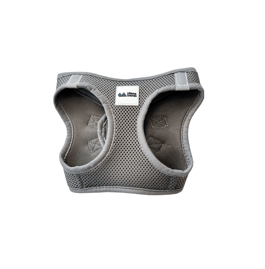 Harnesses for small dogs and cats