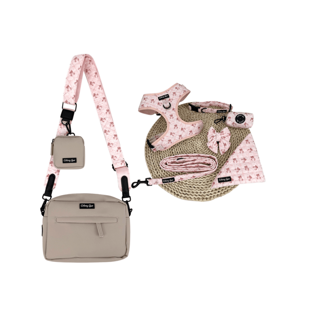 Pink Dog Walking Bag with Treat Pouch | Daizzy Gear Pink Dog Walking Bag with Treat Pouch | Daizzy Gear