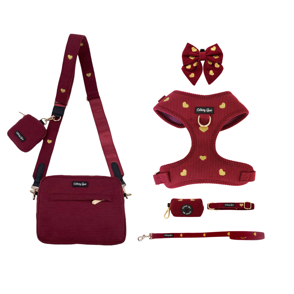 Burgundy Fur Ever Love Mom & Pup Matching Bundle