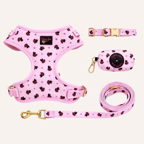 Pink Bumblebees Deluxe Dog Matching Set