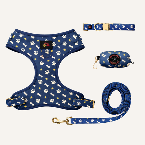 Blue Paws & Bones Deluxe Dog Walking Matching Set