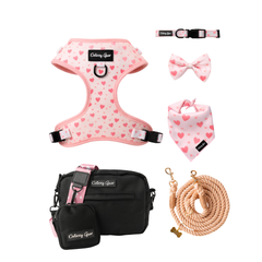Pink Blushing Love Glow Up Bundle