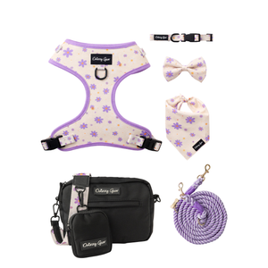 Purple Daisy Dreams Glow Up Bundle