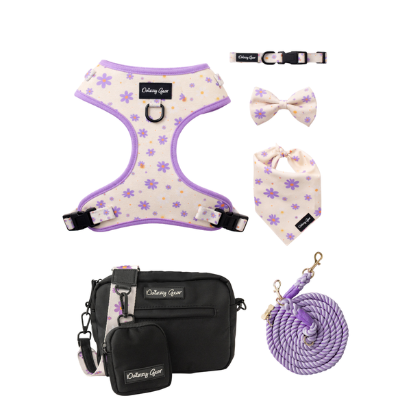 Purple Daisy Dreams Glow Up Bundle