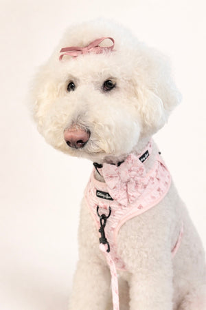 Teddy Coquette Pink Quilted Dog Matching Set