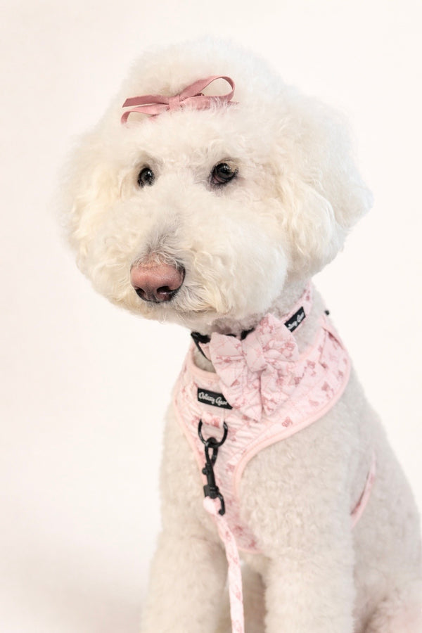 Teddy Coquette Pink Quilted Dog Matching Set