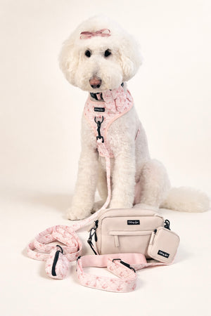 Dog wearing a pink harness and leash with a matching bag on a white background