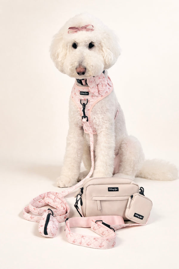 Dog wearing a pink harness and leash with a matching bag on a white background