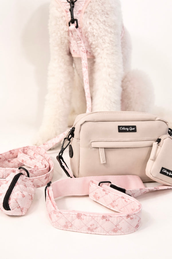 Pink Teddy Coquette Mom & Pup Matching Bundle
