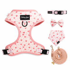 Pink Blushing Love Dog Harness Matching Walking Set with Rope Leash
