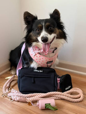Dog wearing a pink harness with a black bag and leash on a wooden floor.