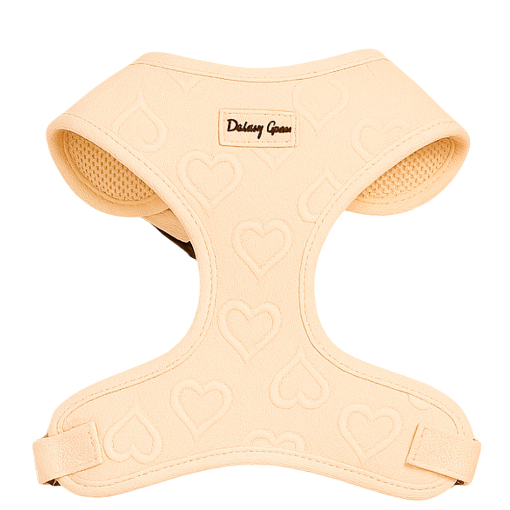 Petite Amour Cream Dog Harness Matching Walking Set