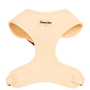 Petite Amour Cream Dog Harness Matching Walking Set