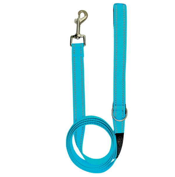 Reflective Blue Dog Leash Set