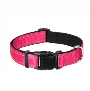 Reflective Pink Walking Dog Leash Set